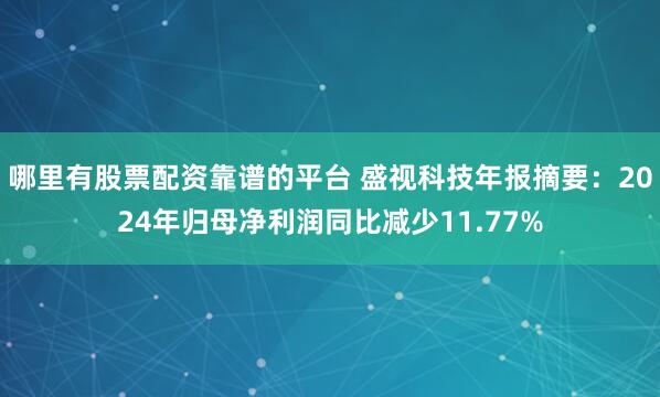 哪里有股票配资靠谱的平台 盛视科技年报摘要：2024年归母净利润同比减少11.77%
