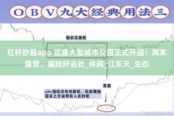 杠杆炒股app 这座大型城市公园正式开园！周末露营、遛娃好去处_休闲_江东天_生态