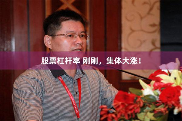 股票杠杆率 刚刚，集体大涨！