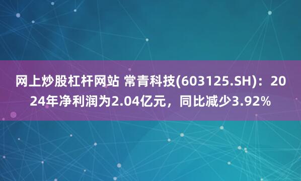 网上炒股杠杆网站 常青科技(603125.SH)：2024年净利润为2.04亿元，同比减少3.92%