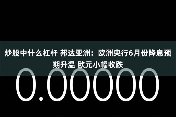 炒股中什么杠杆 邦达亚洲：欧洲央行6月份降息预期升温 欧元小幅收跌
