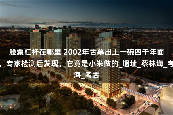 股票杠杆在哪里 2002年古墓出土一碗四千年面条，专家检测后发现，它竟是小米做的_遗址_蔡林海_考古