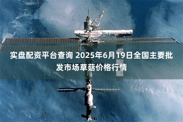 实盘配资平台查询 2025年6月19日全国主要批发市场草菇价格行情