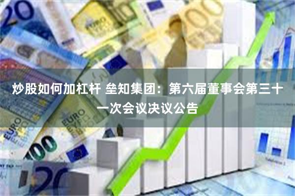 炒股如何加杠杆 垒知集团：第六届董事会第三十一次会议决议公告