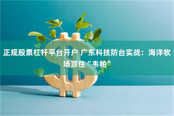 正规股票杠杆平台开户 广东科技防台实战：海洋牧场顶住“韦帕”