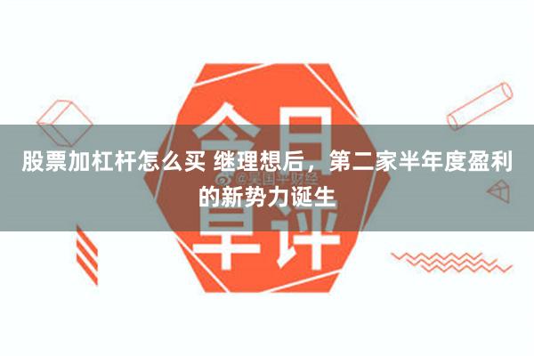 股票加杠杆怎么买 继理想后，第二家半年度盈利的新势力诞生