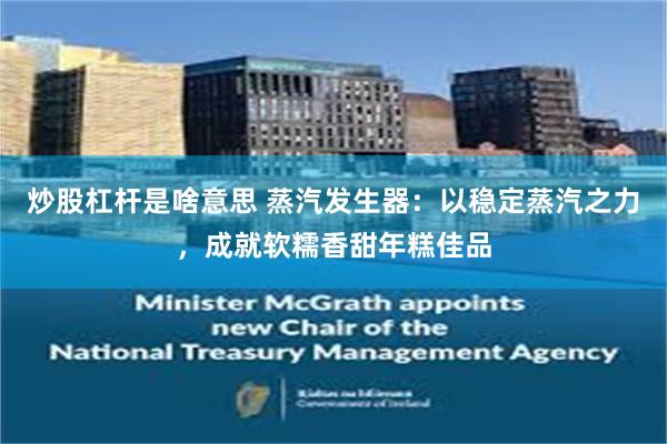 炒股杠杆是啥意思 蒸汽发生器：以稳定蒸汽之力，成就软糯香甜年糕佳品