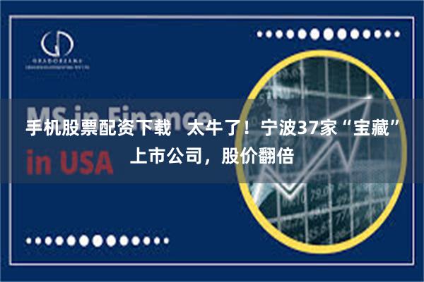 手机股票配资下载 太牛了!宁波37家“宝藏”上市公司,股价翻倍